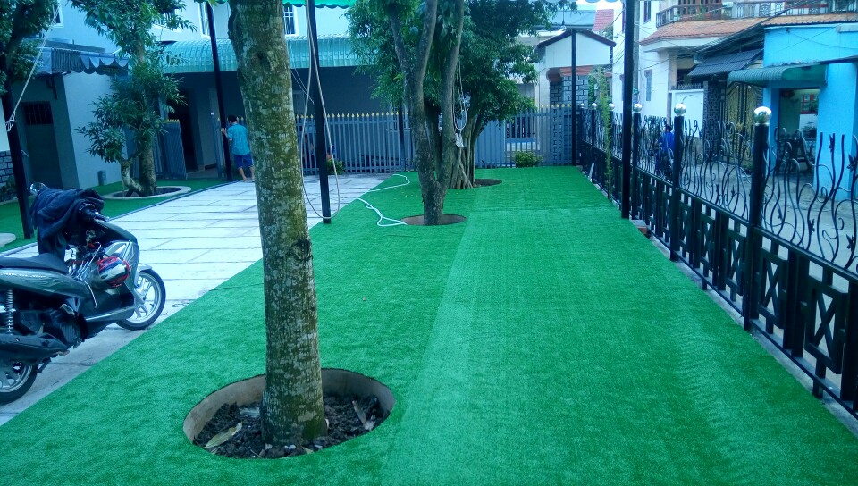 Cỏ nhân tạo sân vườn lót trường mầm non